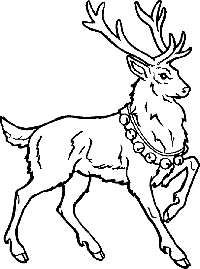 The Holiday Site: Santa's Reindeer Coloring Pages