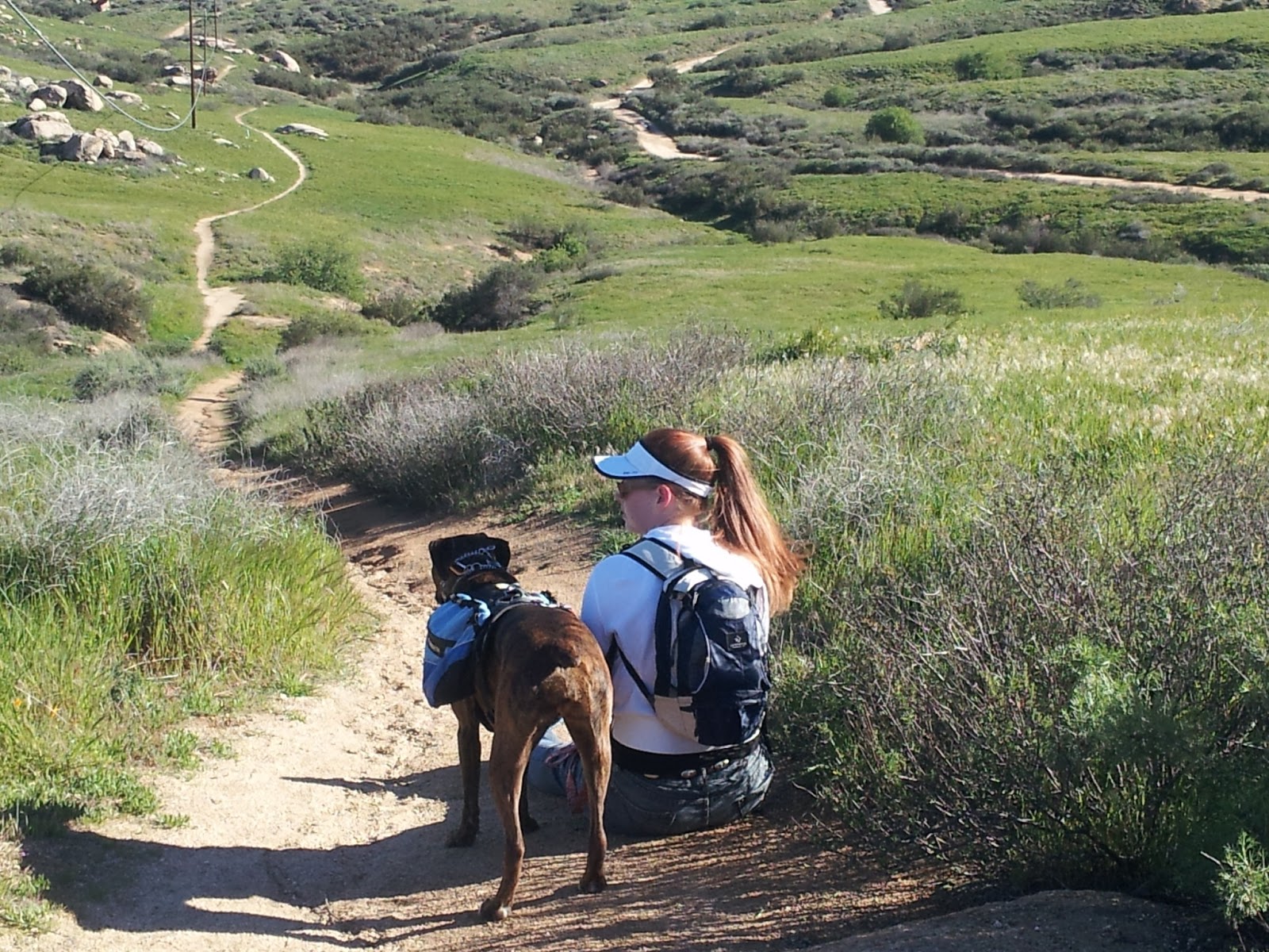 Box Springs Box Springs Trail