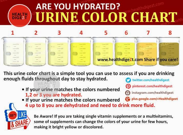 Dan Taleb: Urine Colour Chart
