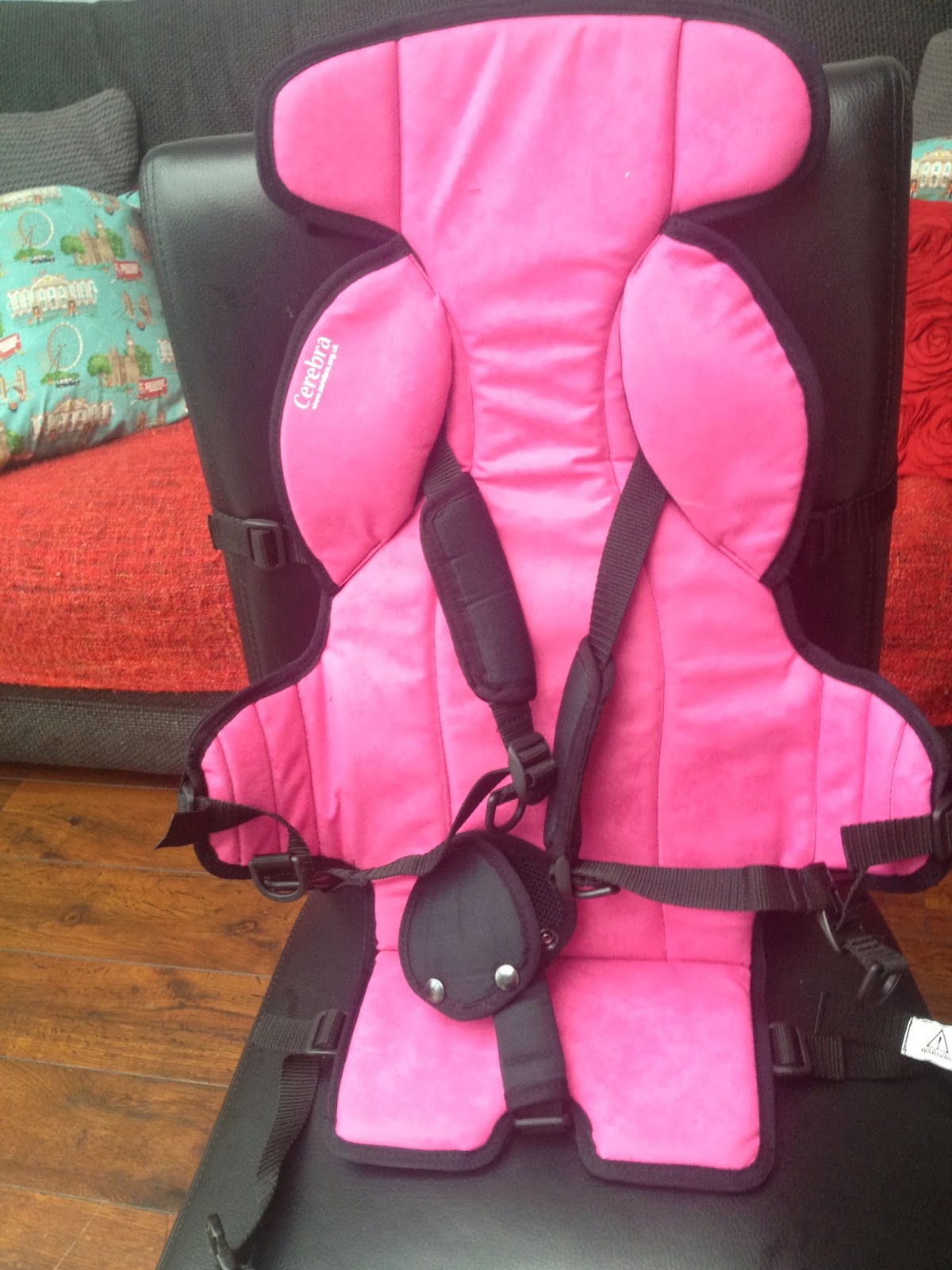 Was this in the Plan?: Product Review: Firefly GoTo Seat by Leckey