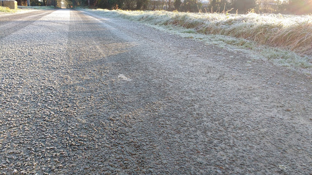 midwinter frost in Norfolk countryside