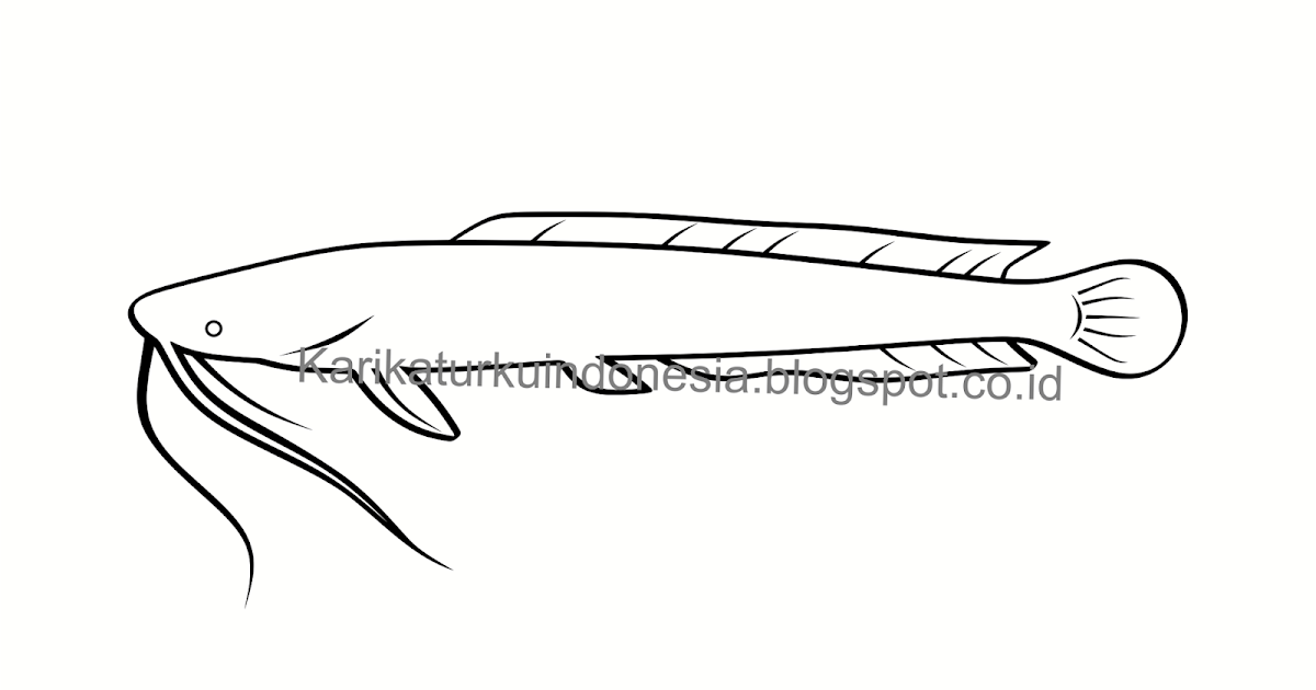 Sketsa Gambar Ikan Lele Garlerisket