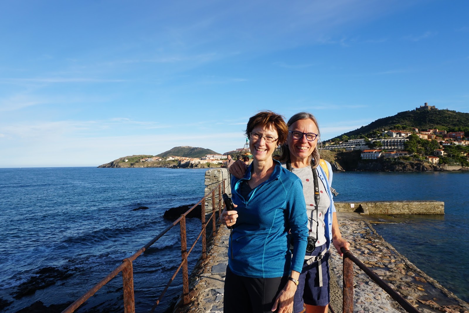 musings florida snow shovel