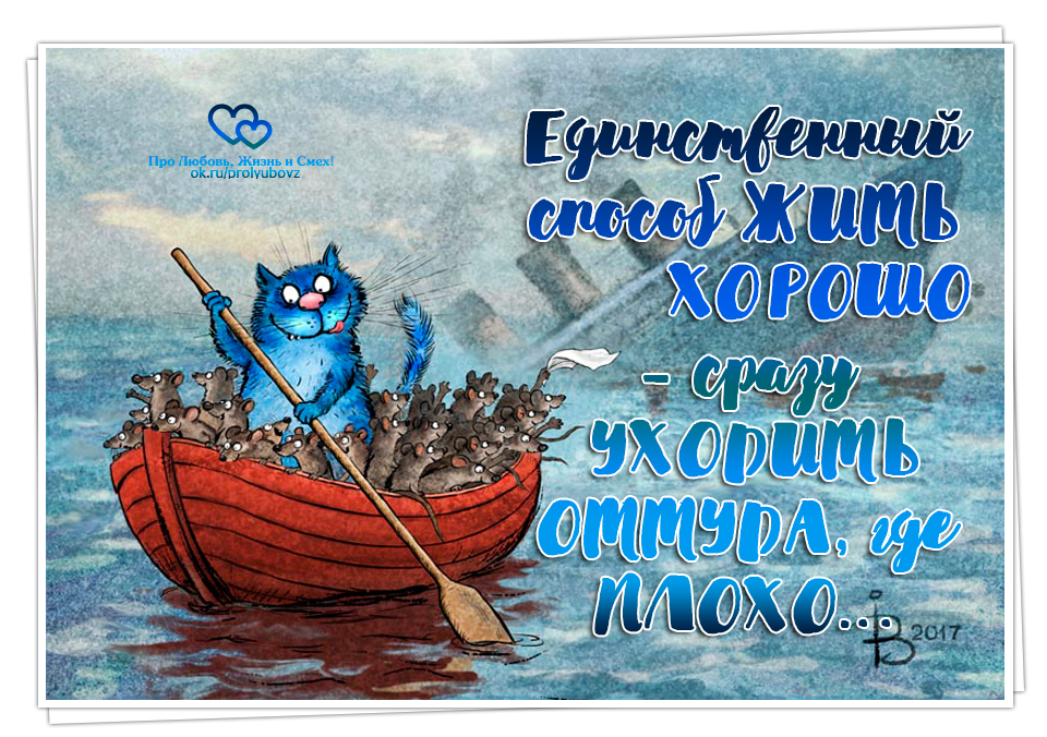 Жить хорошо а хорошо жить еще лучше картинки прикольные с надписями