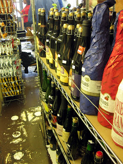 A row of beer at Stein's Market and Deli.