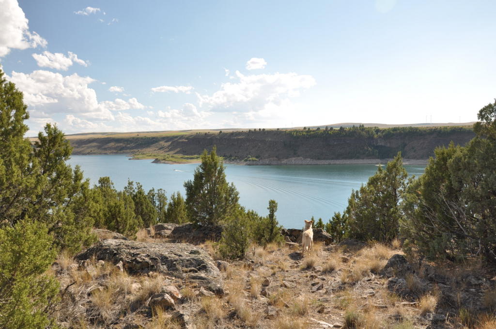Hitchin' To Go Juniper Campground, Swan Valley, Idaho