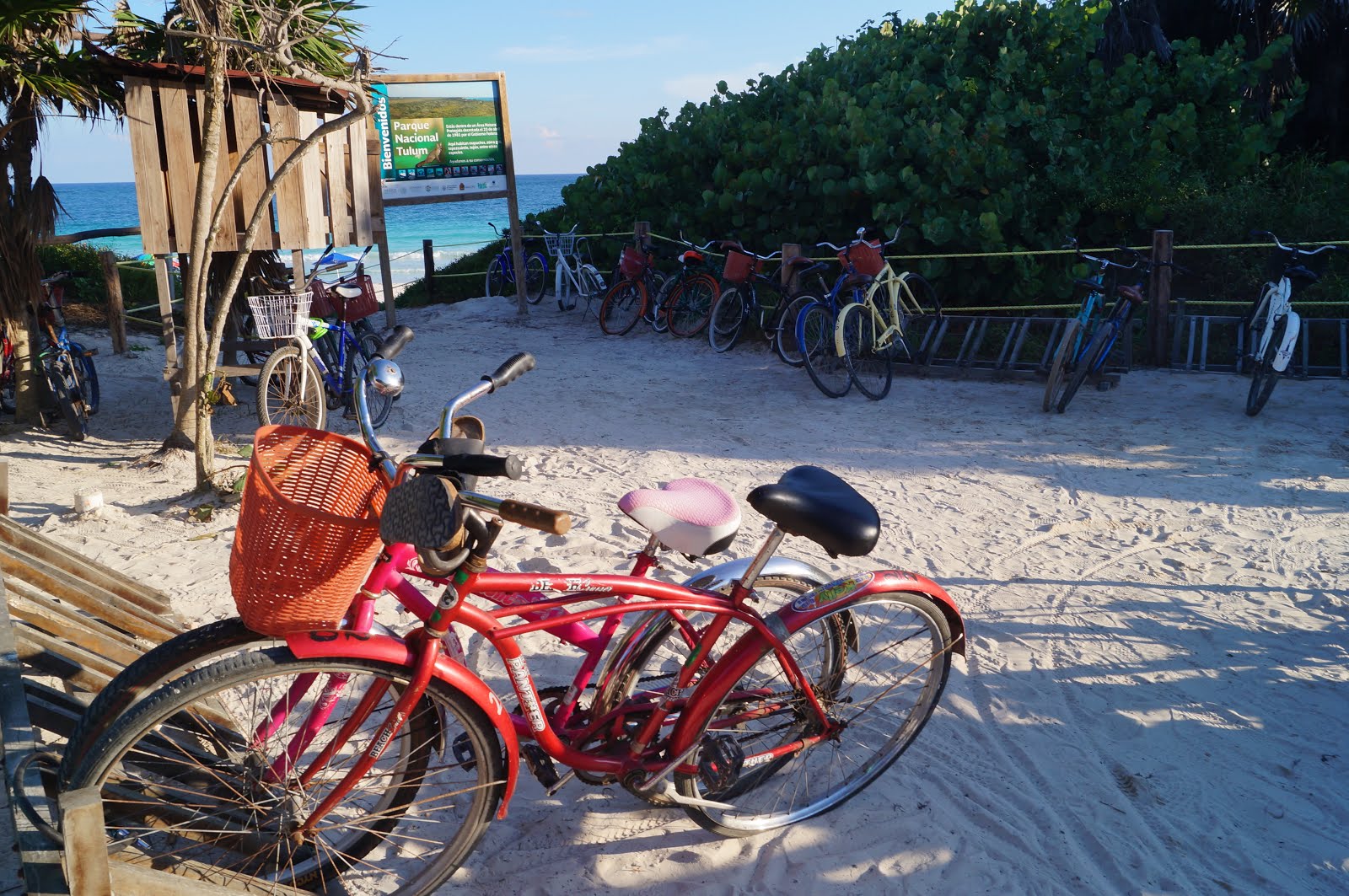 Rented bicycles entering beach in Tulum