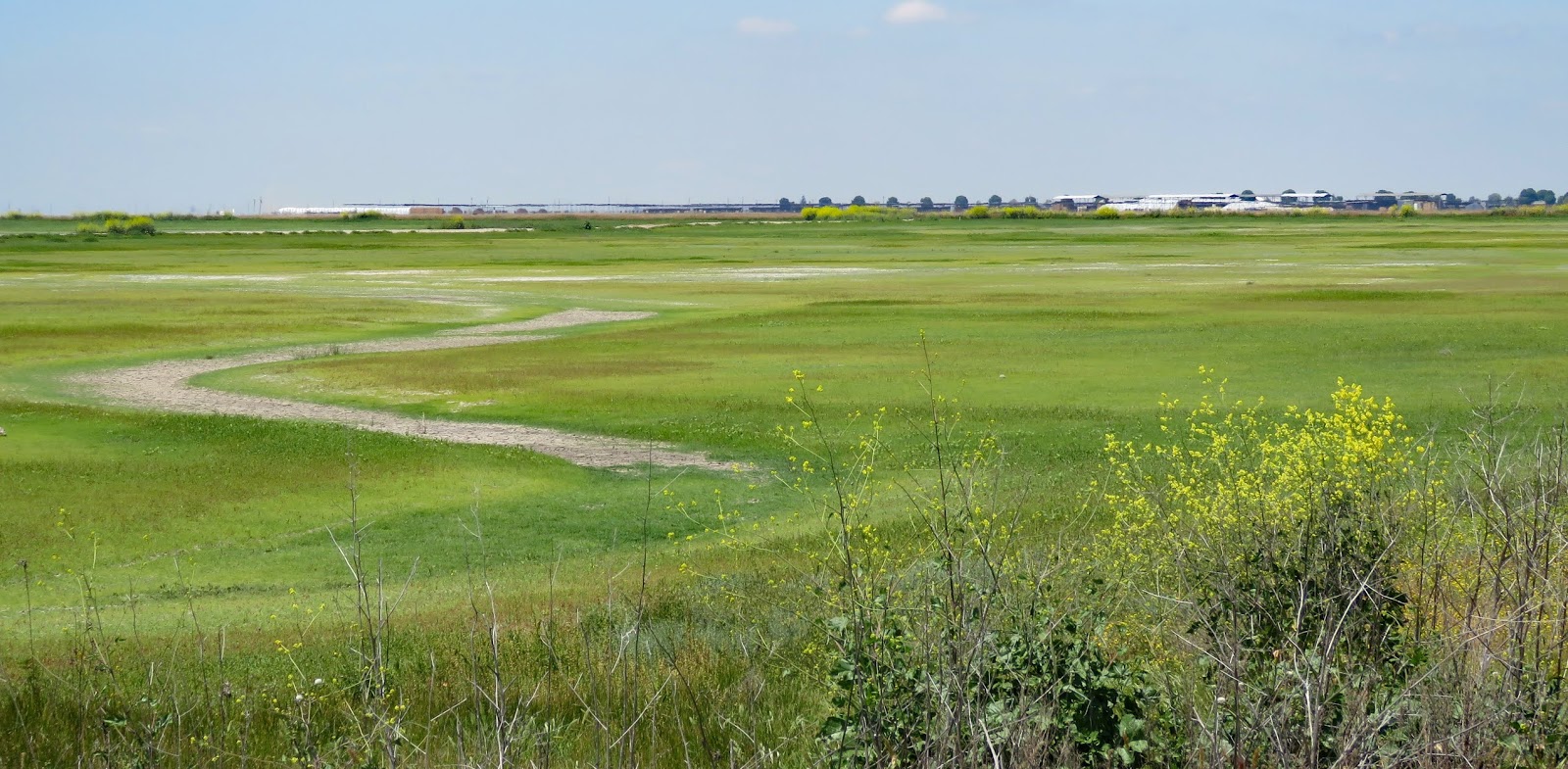 Rolling in an RV Wheelchair Traveling...... Pixley National Wildlife