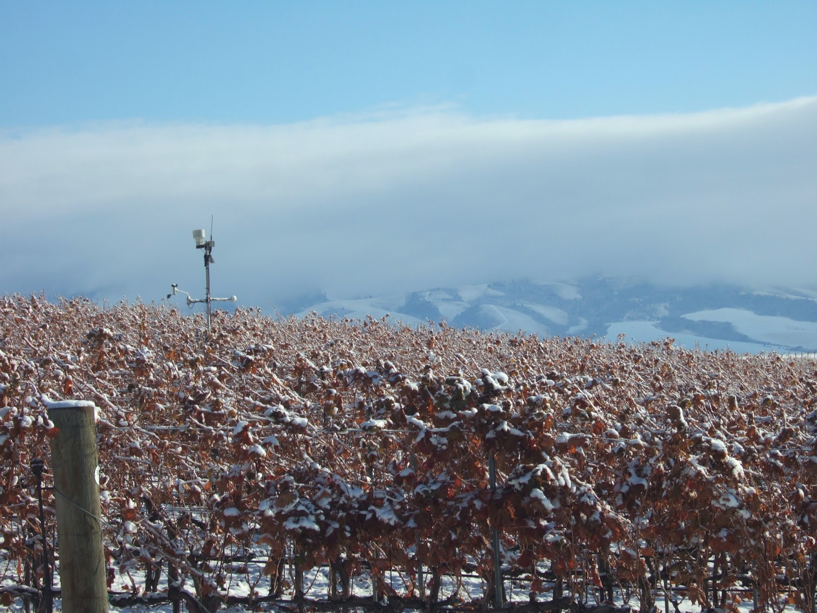 Reading the Washington Landscape A Nice Weather Turn in Walla Walla