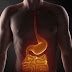 The Seven Ways for A Healthy Digestion