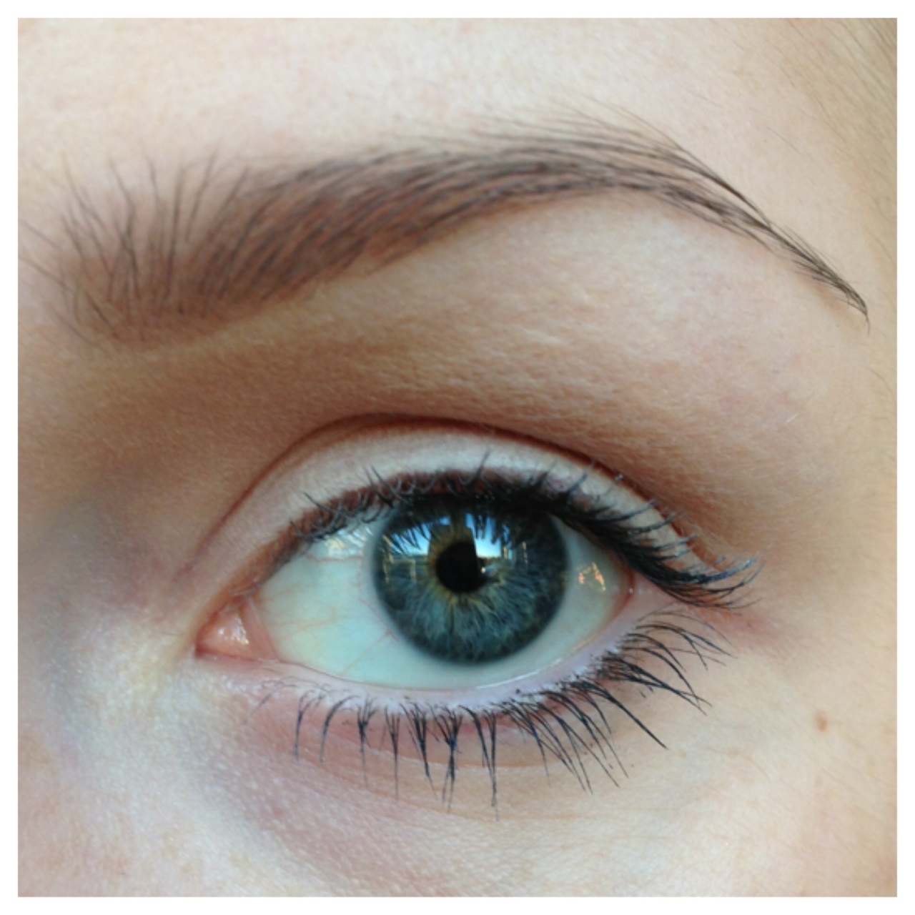 Shannon Bowes Eyebrow Tutorial (How I Fill In My Eyebrows)