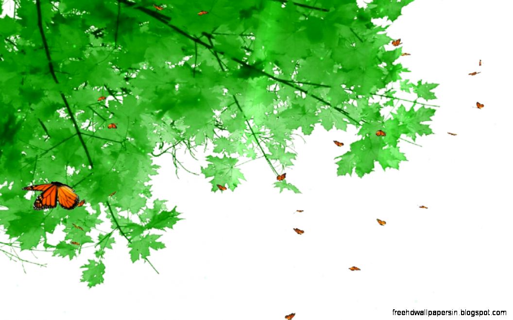 Butterfly  The Best Screensavers Download