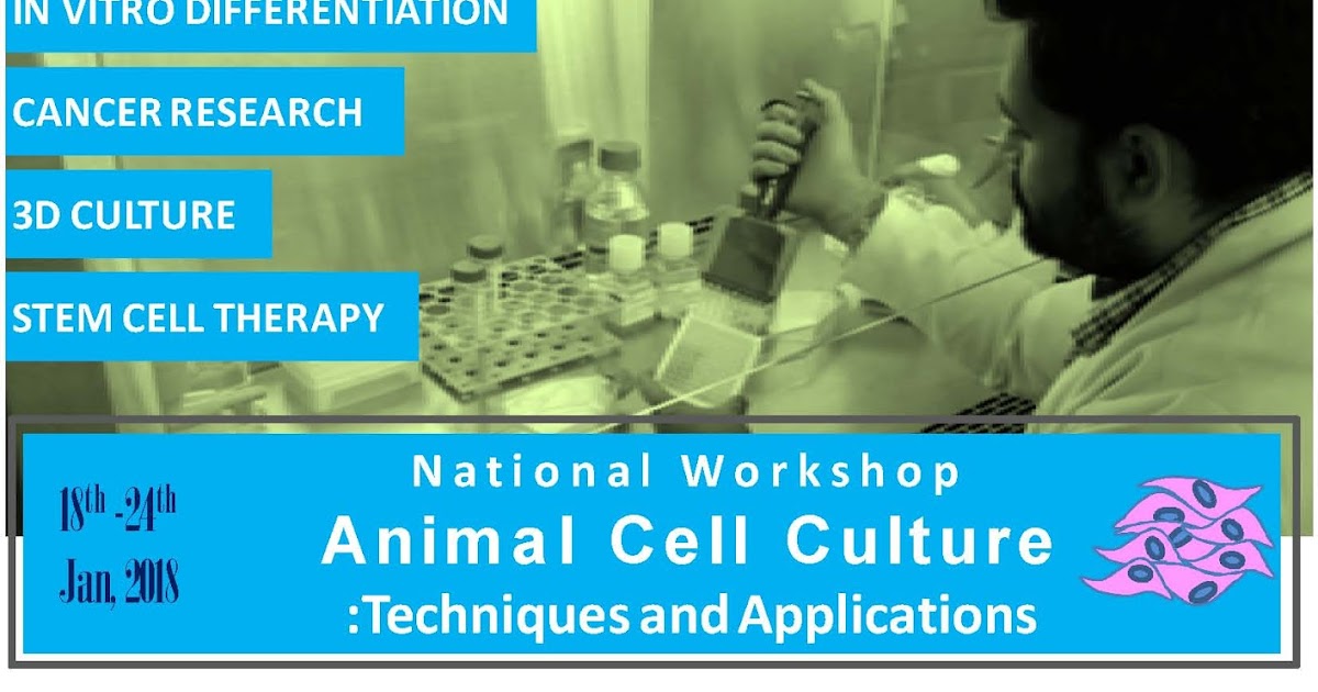 on Animal Cell Culture Techniques & Applications 1824
