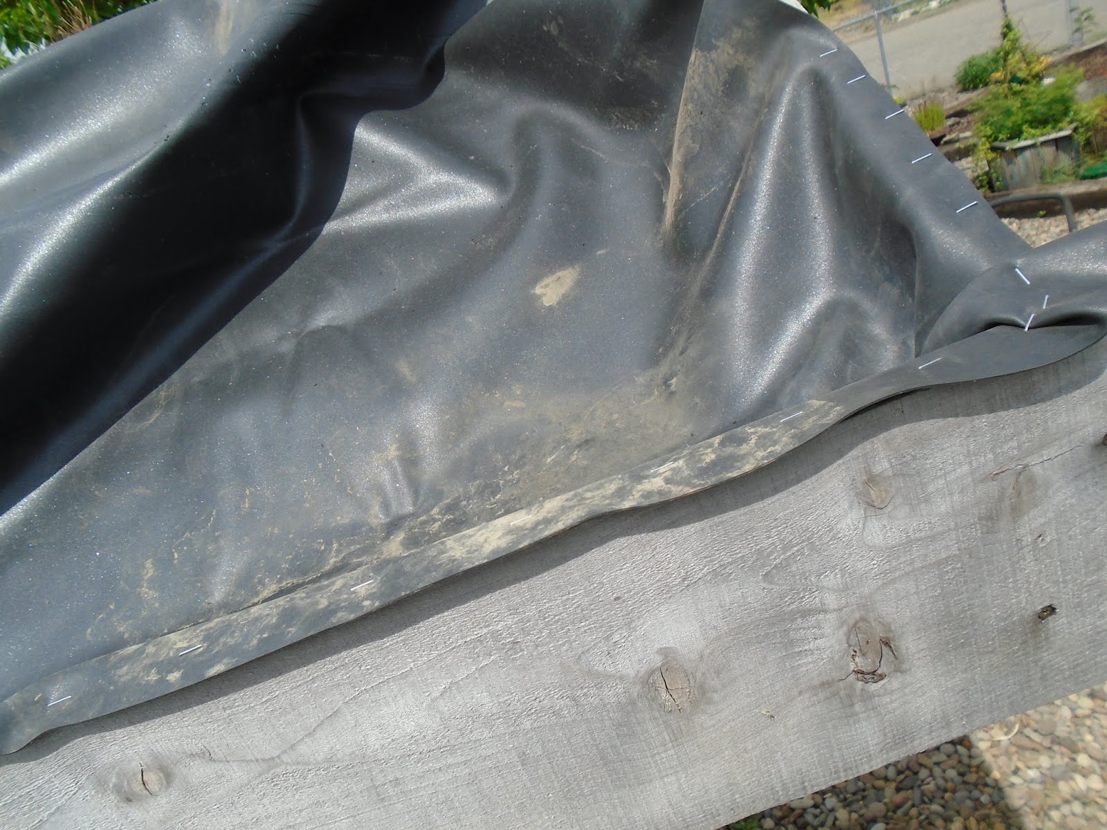 Make The Best of Things A Living Plant Roof On Our Shed