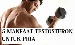 5 Manfaat Testosteron Untuk Kesehatan Pria