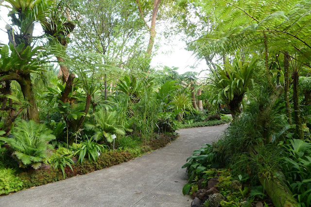 Ogród w Singapurze