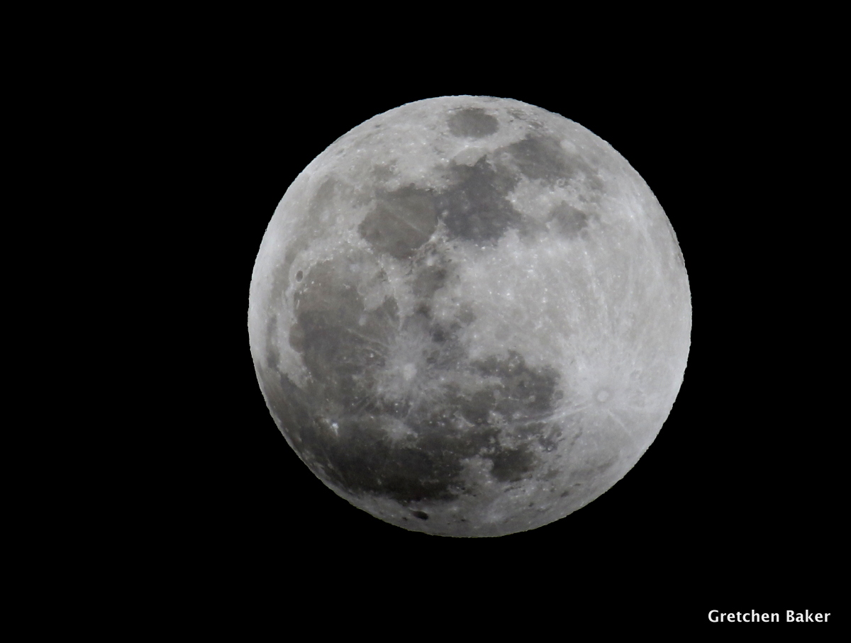 Desert Survivor January 2019 Lunar Eclipse