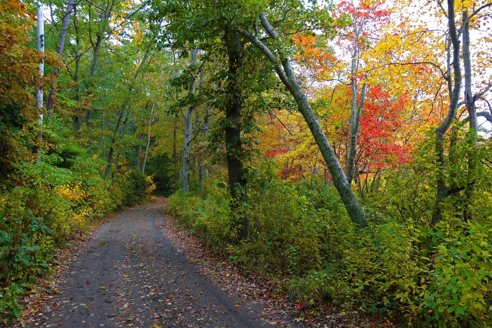 Joe's Retirement Blog Fall on Rabbit Pond, Manomet, Plymouth