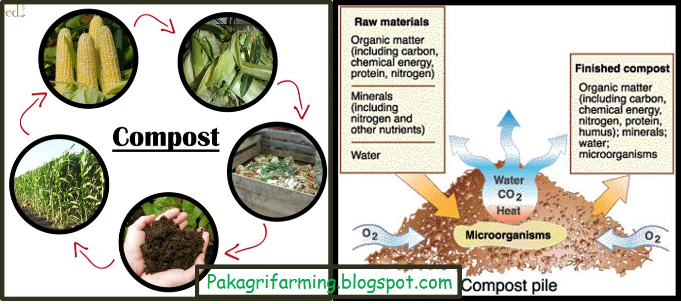 Classification of Biofertilizers