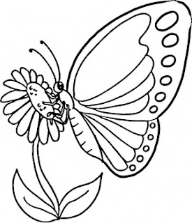 flower and butterfly coloring pages for kids