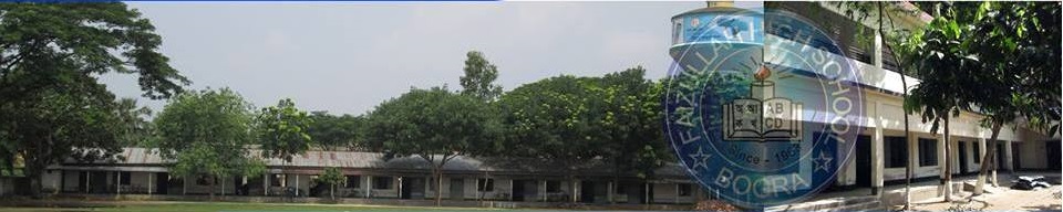 Faizullah High School