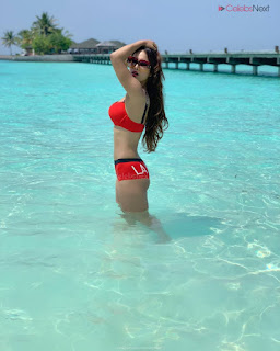 Neha Malik Sizzling Pics in Red Bikini Red and Black Bikini Bollywood Actress Model in Bikini