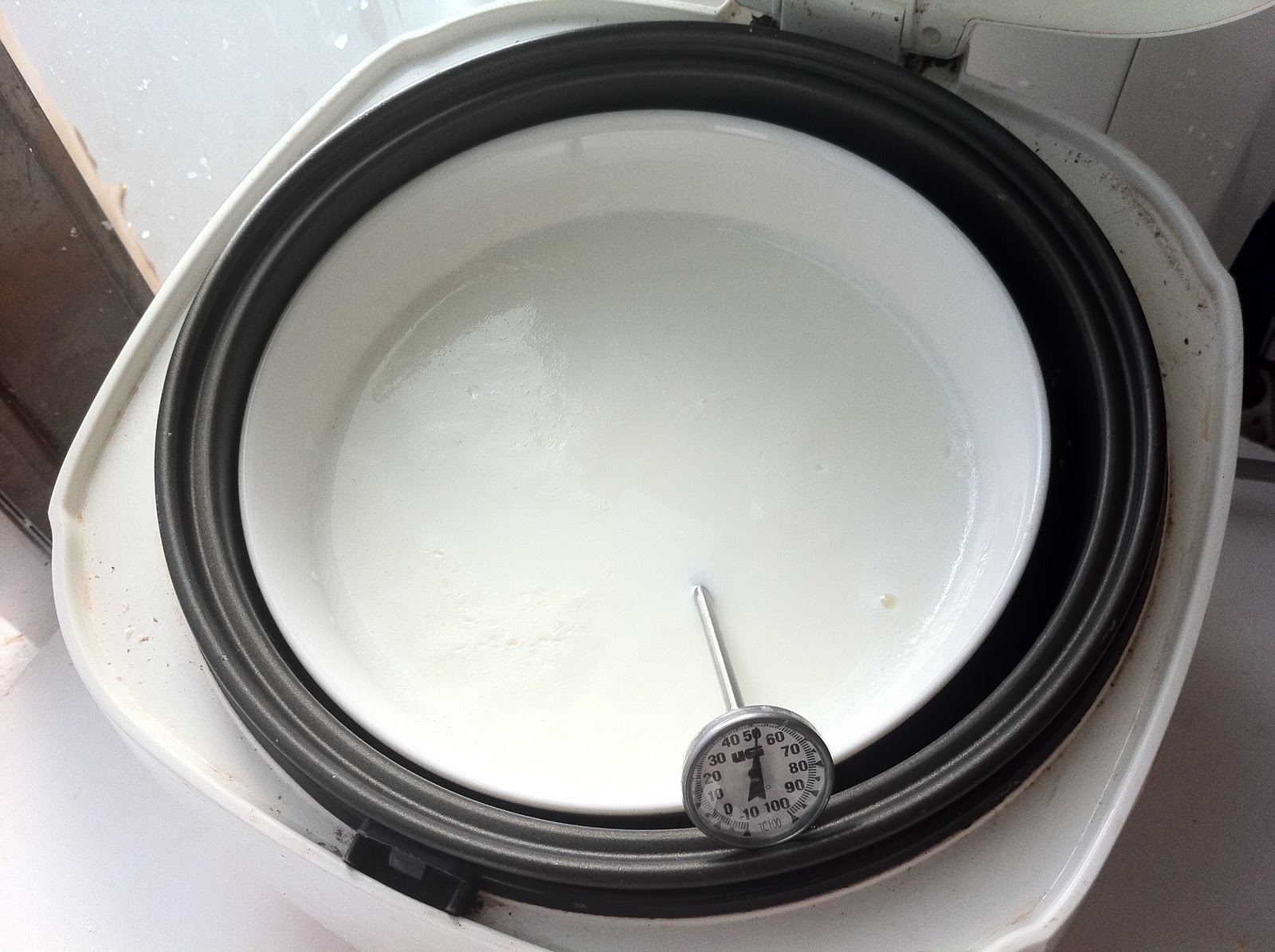 Knifing Forking Spooning Making Homemade Yogurt in a Rice Cooker