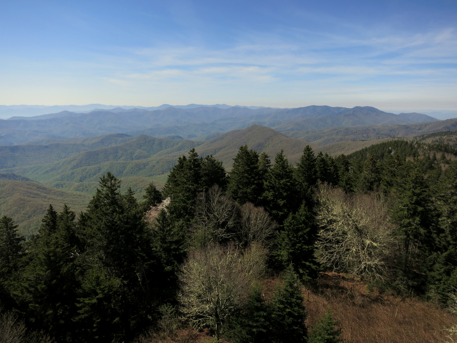 Come Along With Chong Baxter Creek