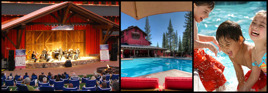 Dragonfly Designs October 2010