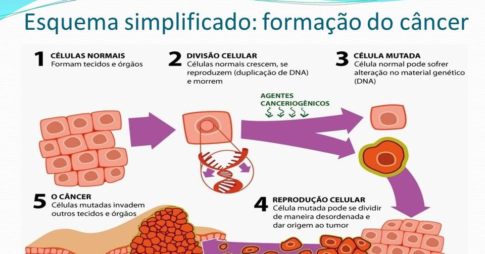 Dilmara Cuidados Especiais O que é