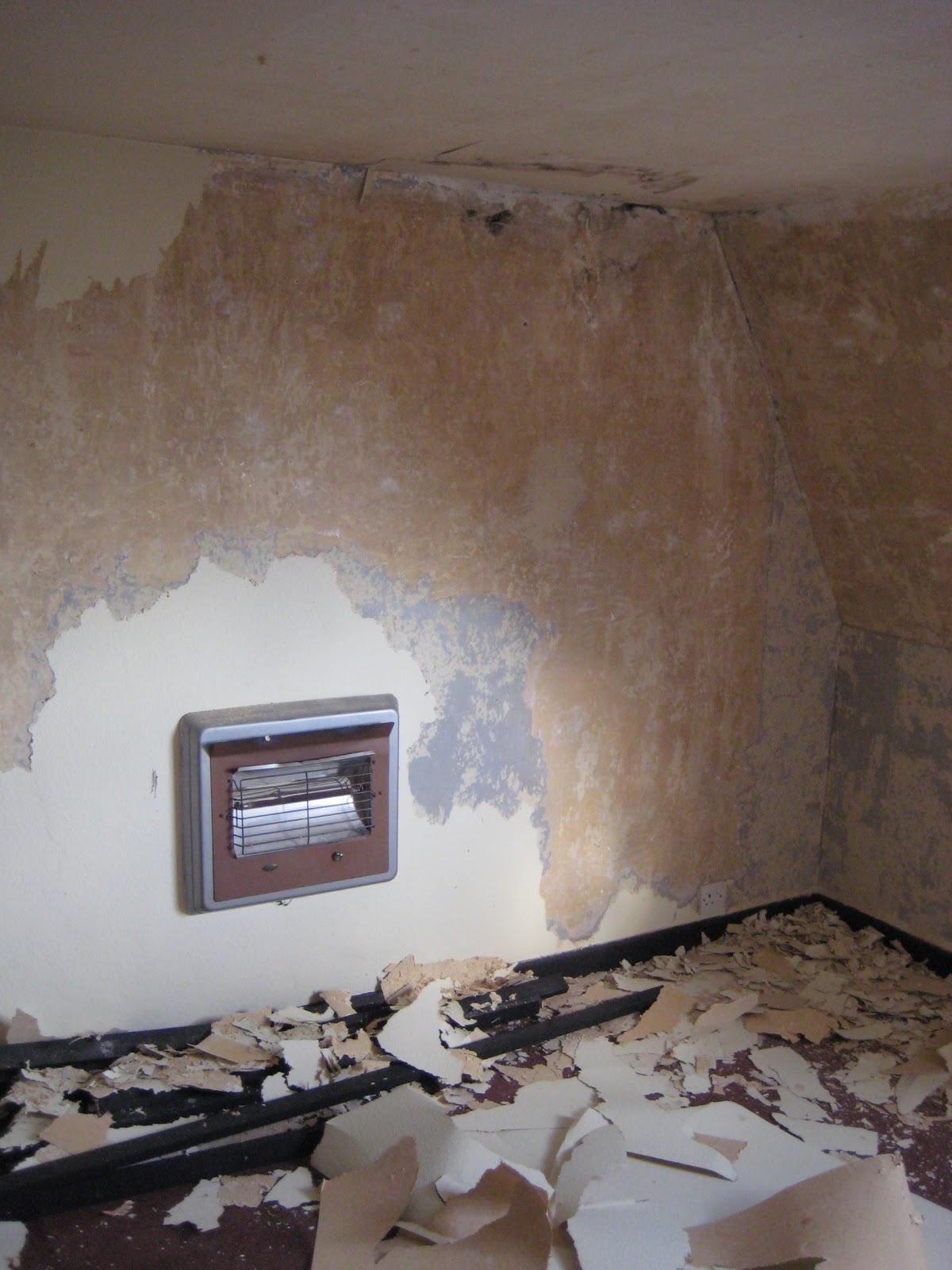 David and Charlotte's Big Restoration! Phase One Remove the Woodchip