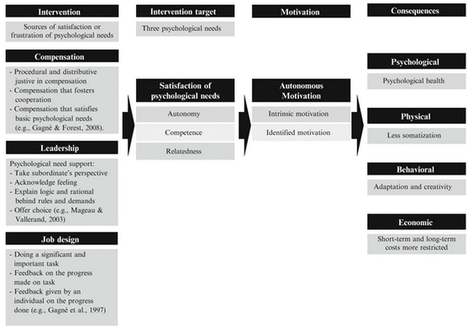 Autonomy support at work