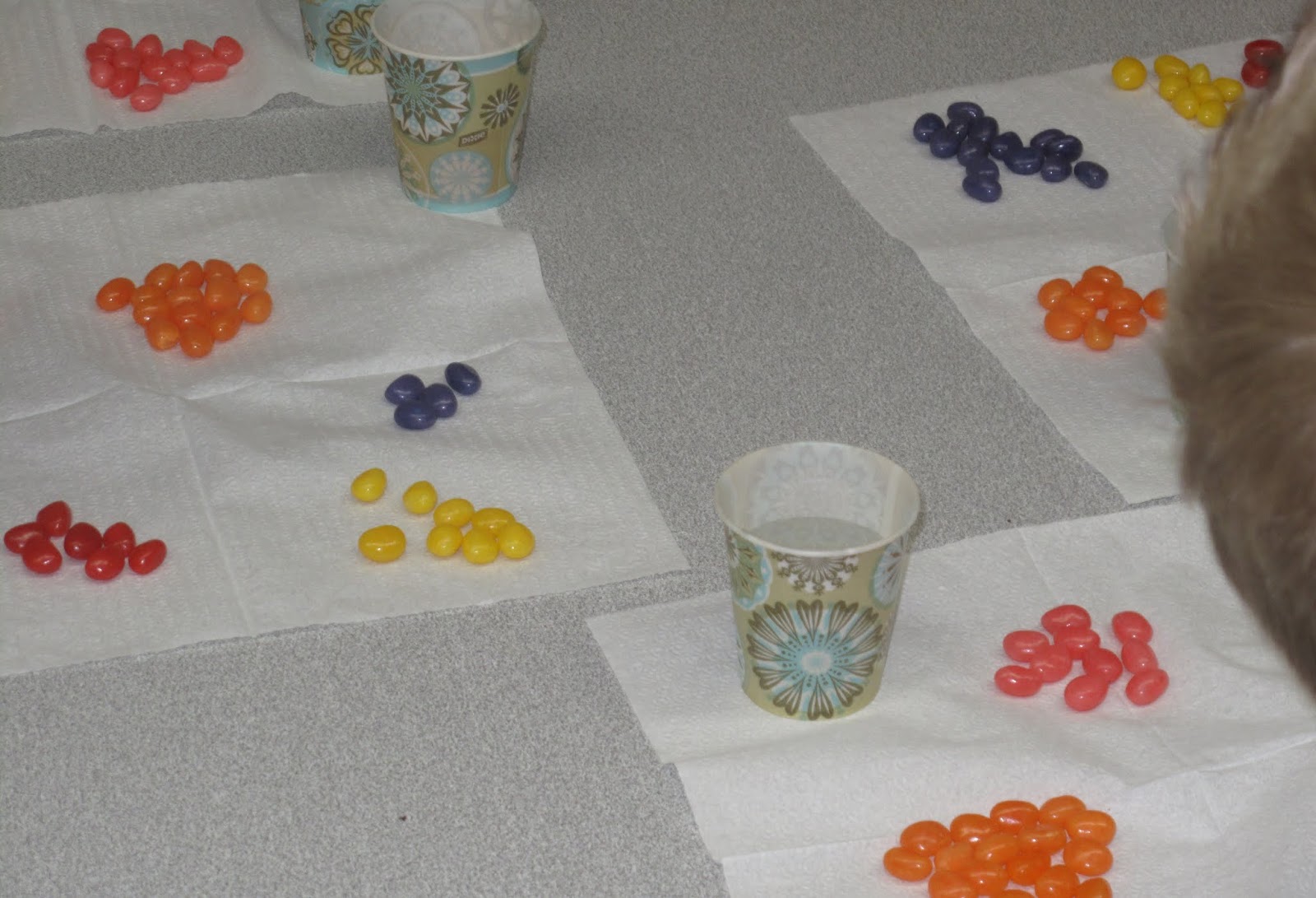 Metamora Community Preschool: Fun Food Friday---Jelly Beans