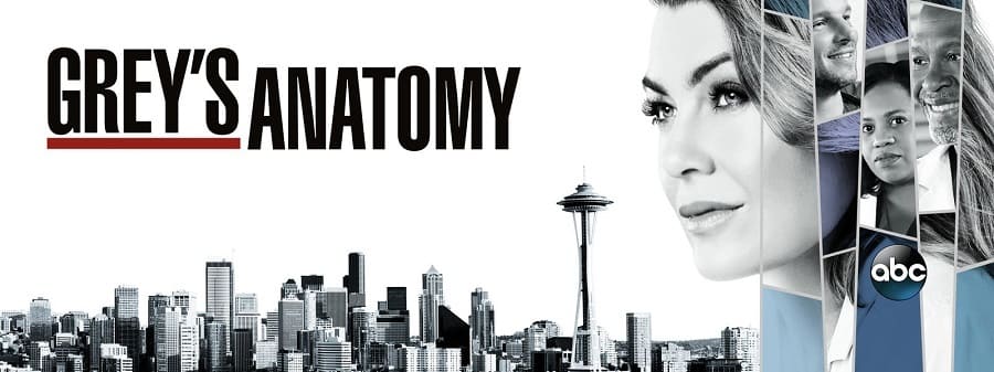 Greys Anatomy - 14ª Temporada 2018 Série 720p HD WEB-DL WEBrip completo Torrent