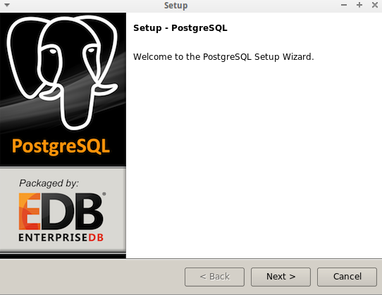 postgresql install different directory postgresql install different directory