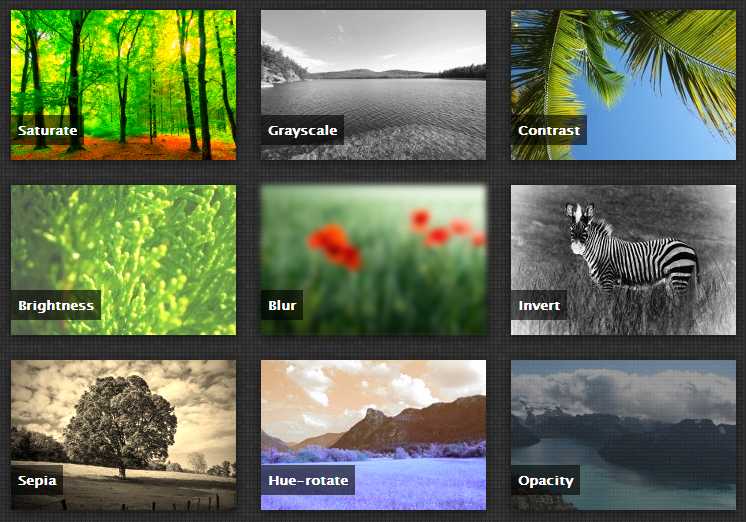 Efek Hover Gambar dengan CSS Filter ProBlogiz