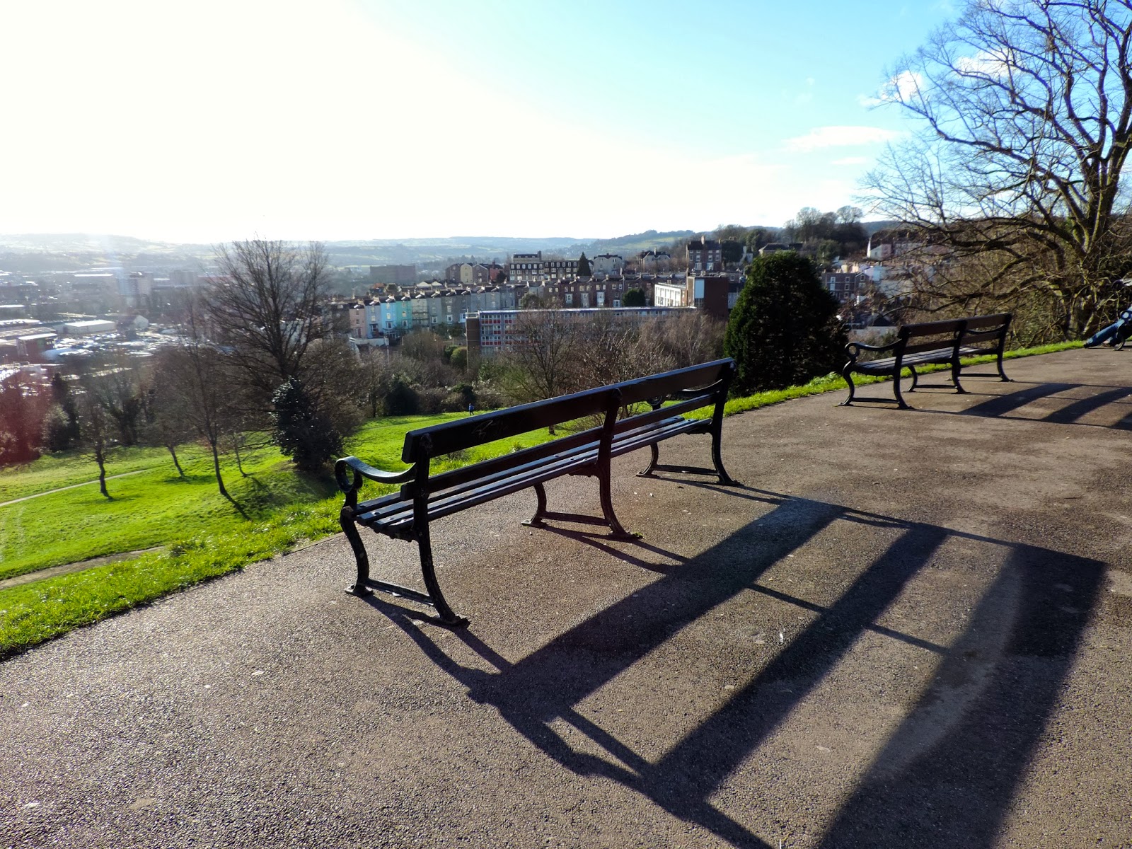 Of Golden Roses Brandon Hill Bristol, England