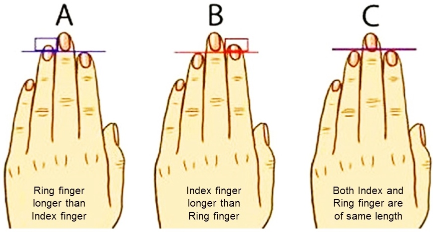 What Reveal Your Fingers About Your Personality