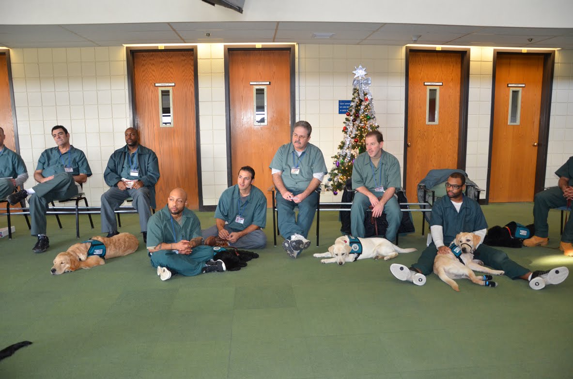 PRISON DOG PROGRAMS BRIDGES and PATHWAYS of COURAGE