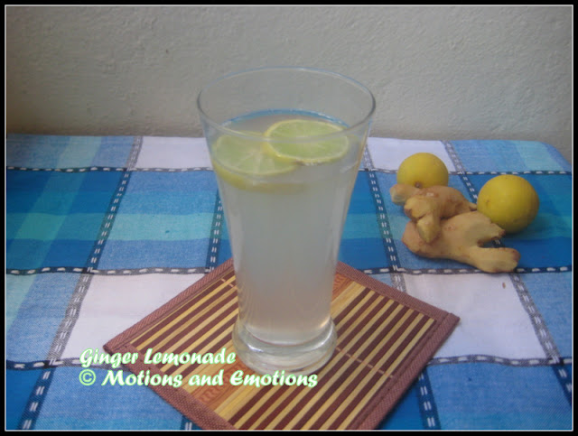 Ginger Lemon Soda/Sparkling Ginger Lemonade/Ginger Lemon Fizz