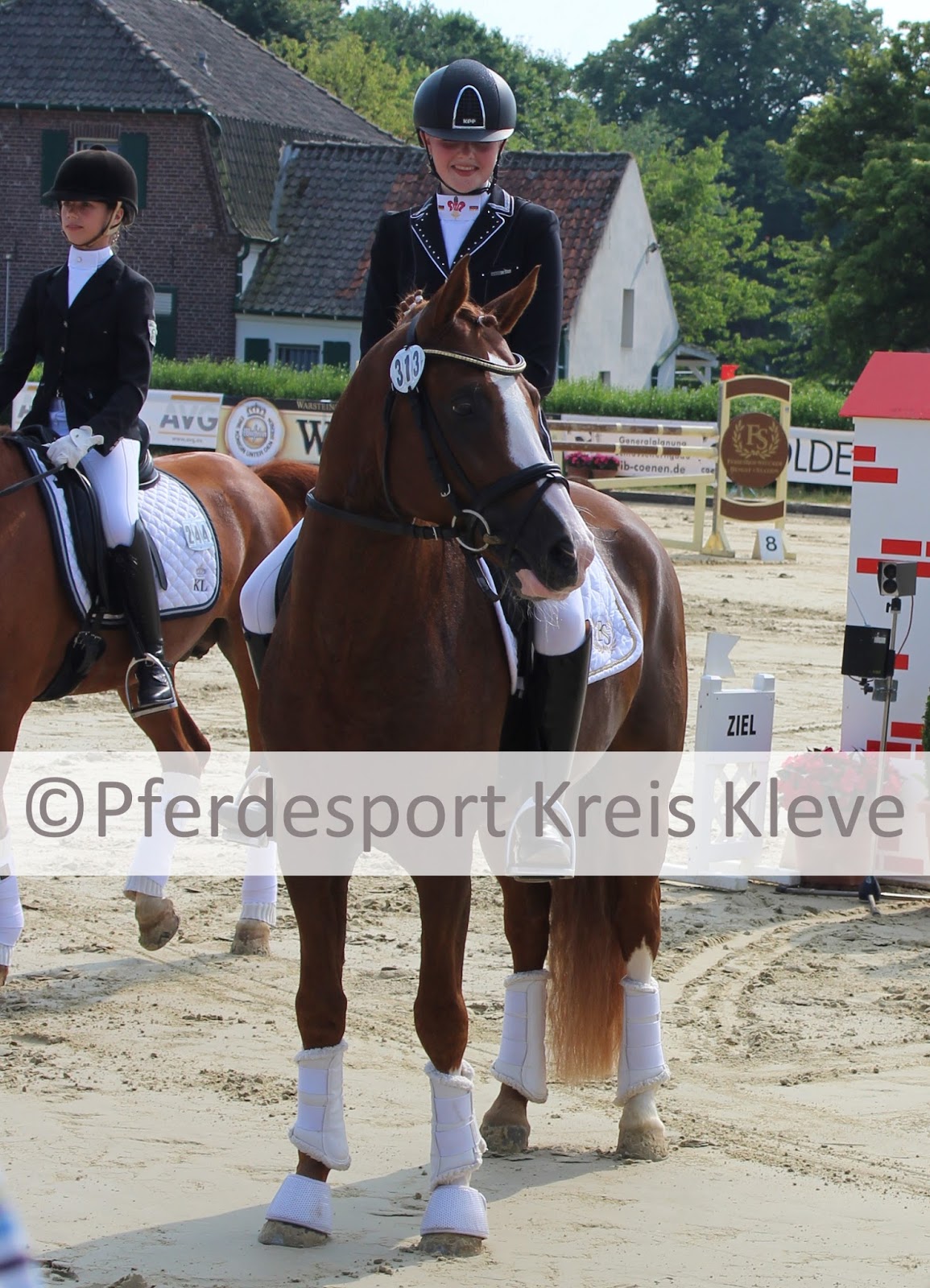 Pferdesport Kreis Kleve