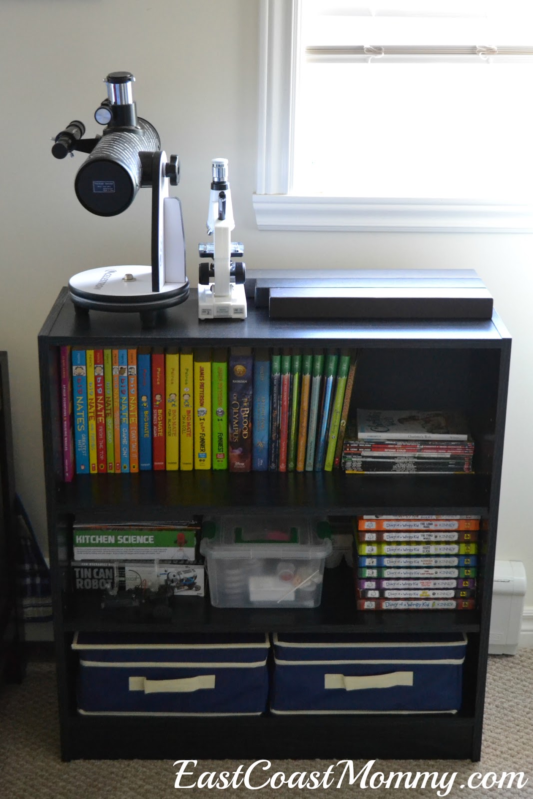 East Coast Mommy Using a CHEAP Bookcase to Get Organized