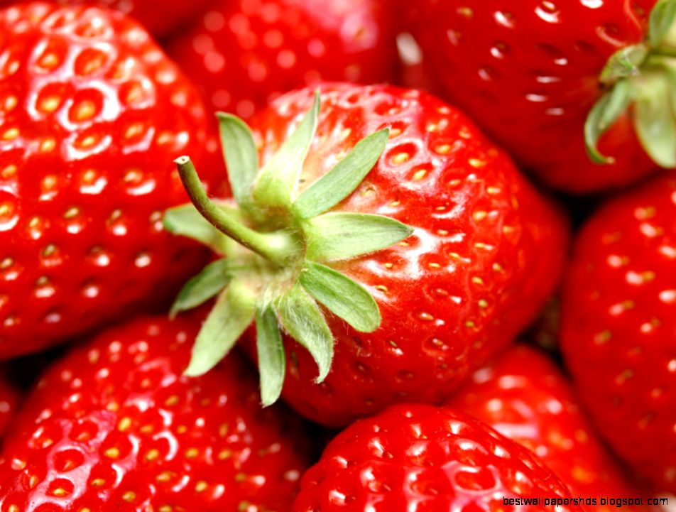 Download strawberry wallpapers  Most beautiful places in the