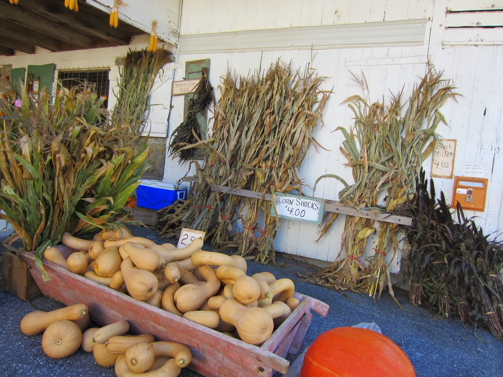 All Things Andrea Stoltzfus Gourd and Pumpkin Farm