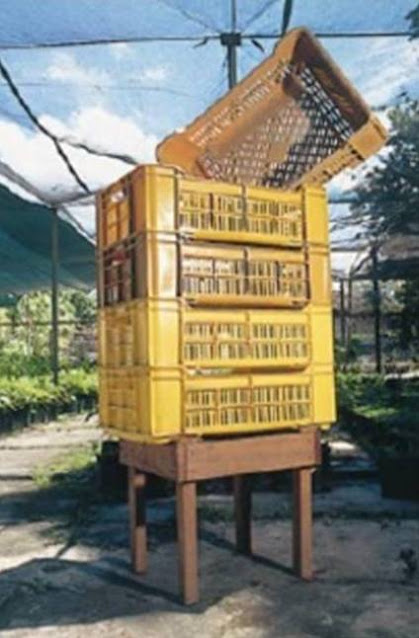 Guacales plásticos usados para la fermentación.