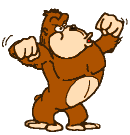 Gorilla Gorilla