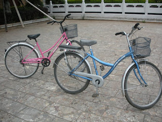 Lijiang bici
