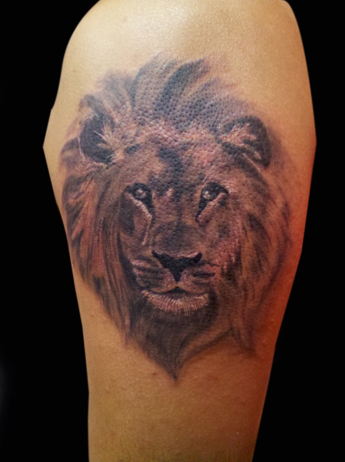 Lion Tattoo Leo Tattoo tattoos by banjara merchant best tattoo artist ...
