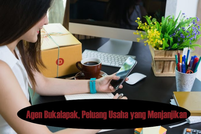 Cara Menjadi Agen Cuan