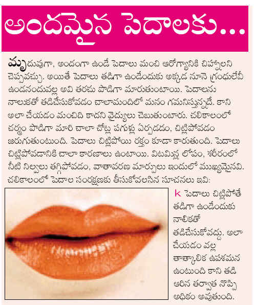 TELUGU WEB WORLD for beautiful lips for special couples tips follows